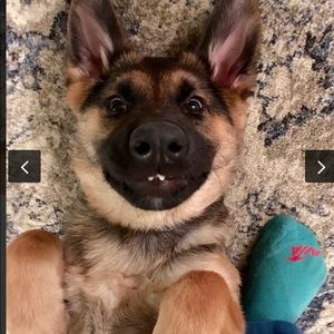 Meet your Posher, Katie